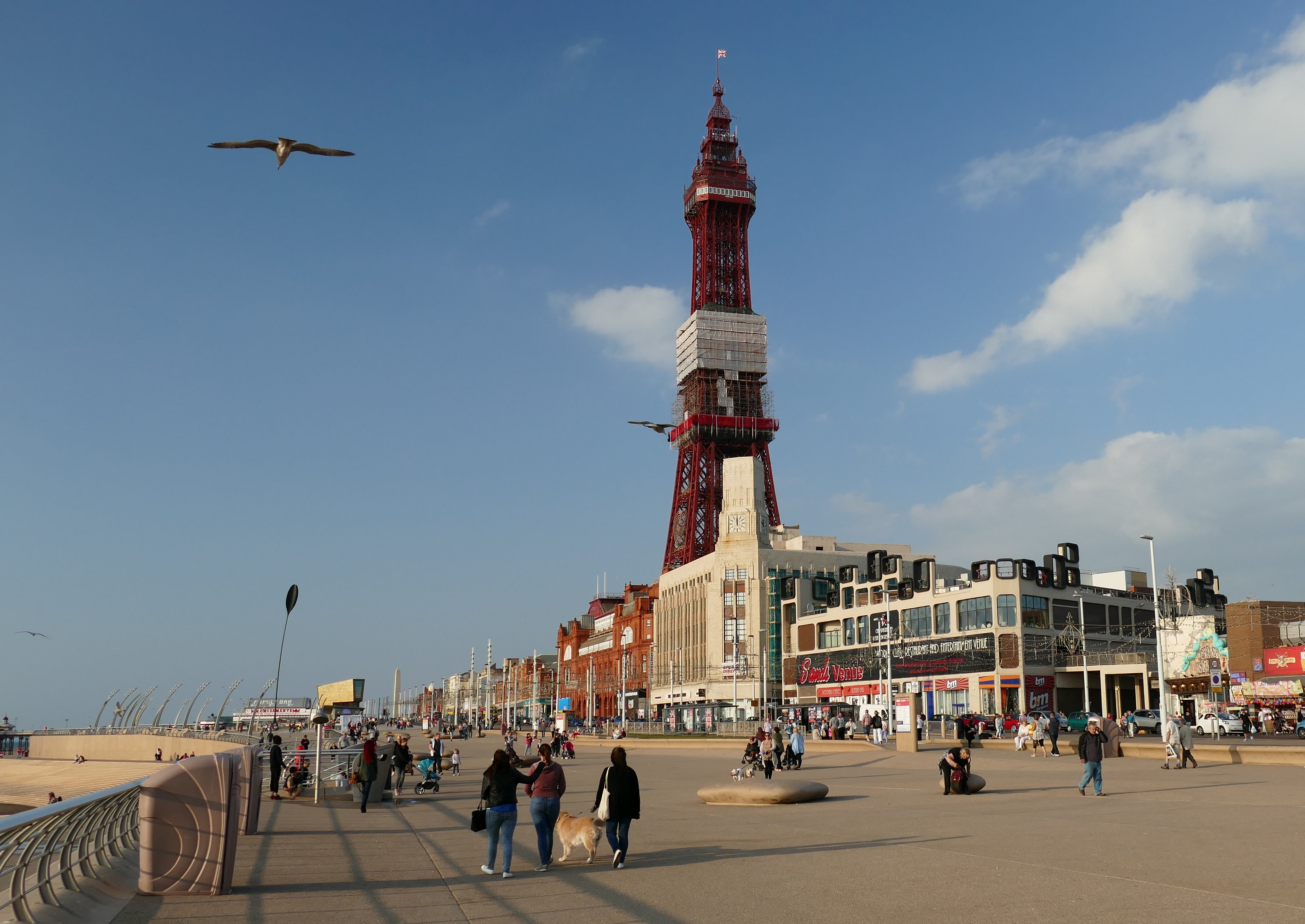 Media Image